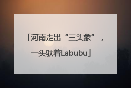 河南走出“三头象”，一头驮着Labubu