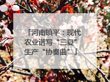 河南镇平：现代农业谱写“三夏”生产“协奏曲”