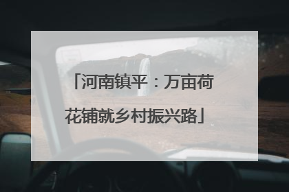 河南镇平：万亩荷花铺就乡村振兴路