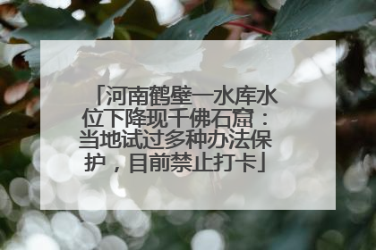 河南鹤壁一水库水位下降现千佛石窟：当地试过多种办法保护，目前禁止打卡