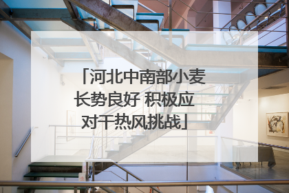 河北中南部小麦长势良好 积极应对干热风挑战