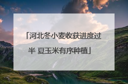 河北冬小麦收获进度过半 夏玉米有序种植