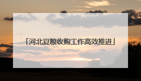 河北夏粮收购工作高效推进