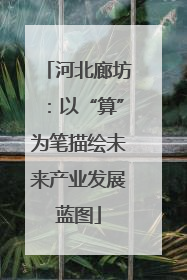 河北廊坊：以“算”为笔描绘未来产业发展蓝图