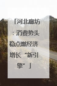 河北廊坊：消费势头稳点燃经济增长“新引擎”