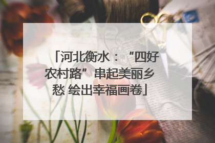 河北衡水：“四好农村路”串起美丽乡愁 绘出幸福画卷