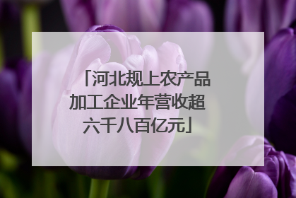 河北规上农产品加工企业年营收超六千八百亿元