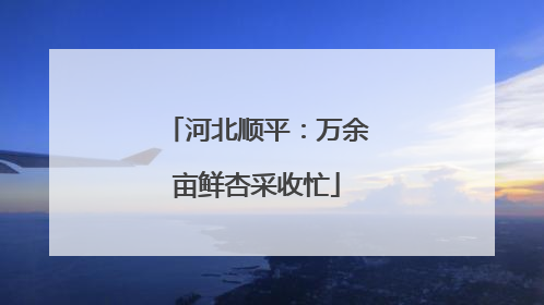 河北顺平：万余亩鲜杏采收忙