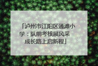 泸州市江阳区通滩小学：队前考核展风采 成长路上启新程