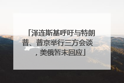 泽连斯基呼吁与特朗普、普京举行三方会谈，美俄暂未回应