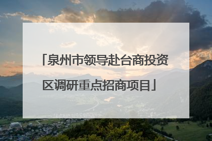 泉州市领导赴台商投资区调研重点招商项目