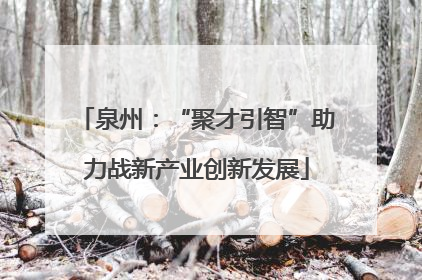 泉州：“聚才引智”助力战新产业创新发展