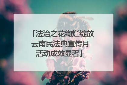 法治之花绚烂绽放 云南民法典宣传月活动成效显著
