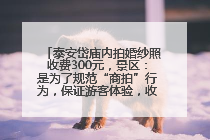 泰安岱庙内拍婚纱照收费300元，景区：是为了规范“商拍”行为，保证游客体验，收取费用全部上交国库