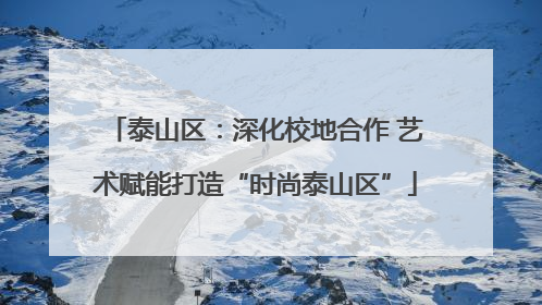 泰山区：深化校地合作 艺术赋能打造“时尚泰山区”