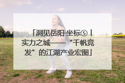 洞见岳阳·坐标⑤丨实力之城——“千帆竞发”的江湖产业宏图