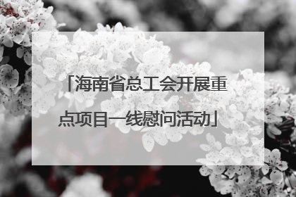 海南省总工会开展重点项目一线慰问活动