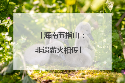 海南五指山：非遗薪火相传
