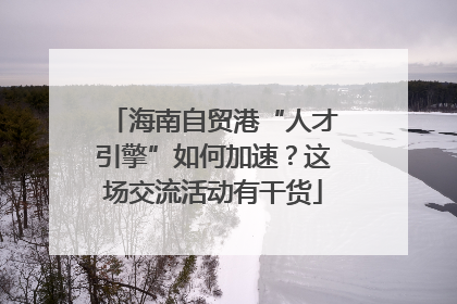 海南自贸港“人才引擎”如何加速？这场交流活动有干货