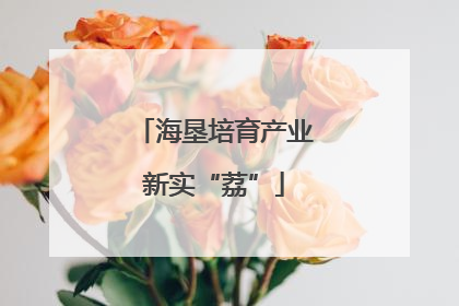海垦培育产业新实“荔”