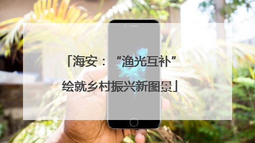 海安：“渔光互补” 绘就乡村振兴新图景