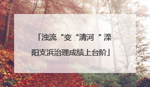 浊流“变“清河“ 溧阳支浜治理成绩上台阶