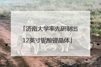 济南大学率先研制出12英寸铌酸锂晶体