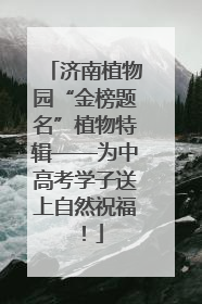 济南植物园“金榜题名”植物特辑——为中高考学子送上自然祝福！