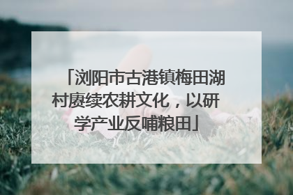 浏阳市古港镇梅田湖村赓续农耕文化，以研学产业反哺粮田