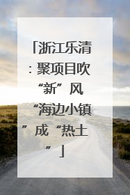 浙江乐清：聚项目吹“新”风 “海边小镇”成“热土”