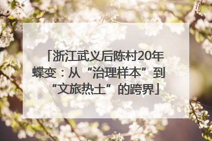 浙江武义后陈村20年蝶变：从“治理样本”到“文旅热土”的跨界