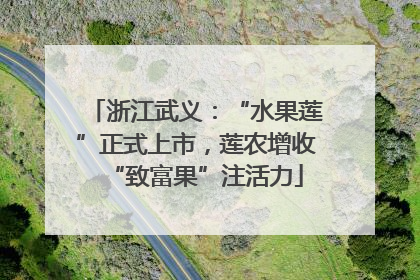 浙江武义：“水果莲”正式上市，莲农增收“致富果”注活力