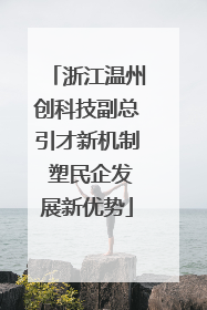 浙江温州创科技副总引才新机制 塑民企发展新优势