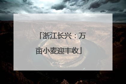 浙江长兴：万亩小麦迎丰收