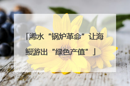 浠水“锅炉革命”让海鳗游出“绿色产值”