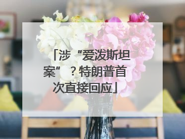 涉“爱泼斯坦案”？特朗普首次直接回应