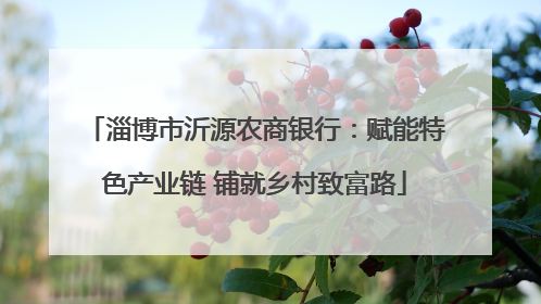 淄博市沂源农商银行：赋能特色产业链 铺就乡村致富路
