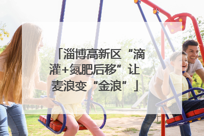 淄博高新区“滴灌+氮肥后移”让麦浪变“金浪”