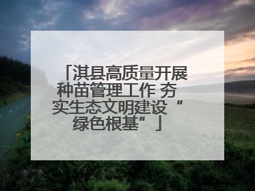 淇县高质量开展种苗管理工作 夯实生态文明建设“绿色根基”