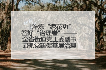 淬炼“绣花功” 答好“治理卷”——全省街道党工委副书记抓党建促基层治理培训示范班侧记