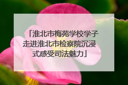 淮北市梅苑学校学子走进淮北市检察院沉浸式感受司法魅力