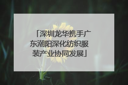 深圳龙华携手广东潮阳深化纺织服装产业协同发展
