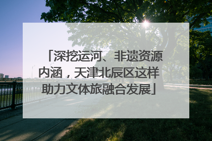 深挖运河、非遗资源内涵，天津北辰区这样助力文体旅融合发展