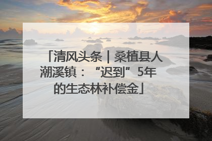 清风头条｜桑植县人潮溪镇：“迟到”5年的生态林补偿金