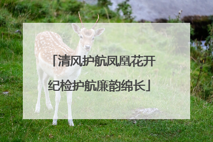 清风护航凤凰花开 纪检护航廉韵绵长