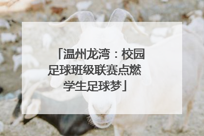 温州龙湾：校园足球班级联赛点燃学生足球梦