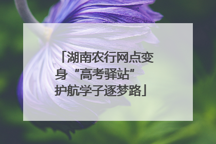 湖南农行网点变身“高考驿站” 护航学子逐梦路