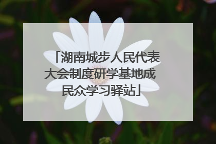 湖南城步人民代表大会制度研学基地成民众学习驿站