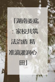 湖南娄底：家校共筑法治盾 精准滴灌润心田