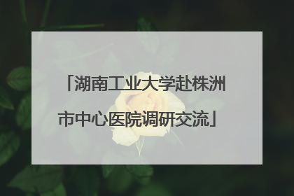 湖南工业大学赴株洲市中心医院调研交流